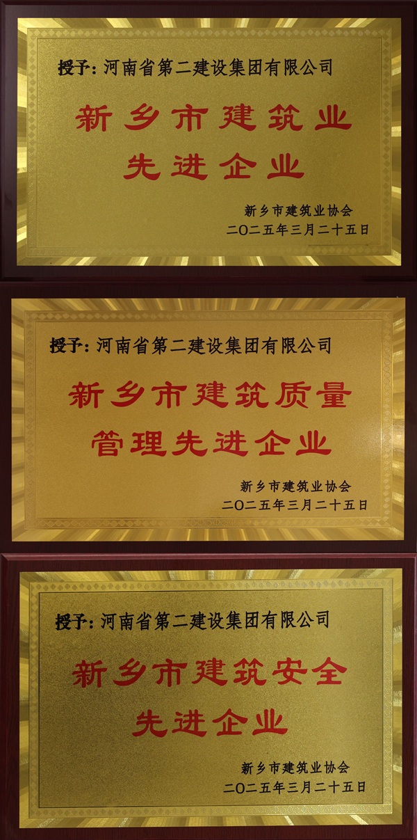 乐竞(中国)奖牌拼图.jpg